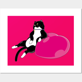 Cute Fat Tuxedo Cat With A Big Love Pillow Posters and Art